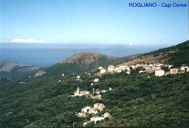 Rogliana